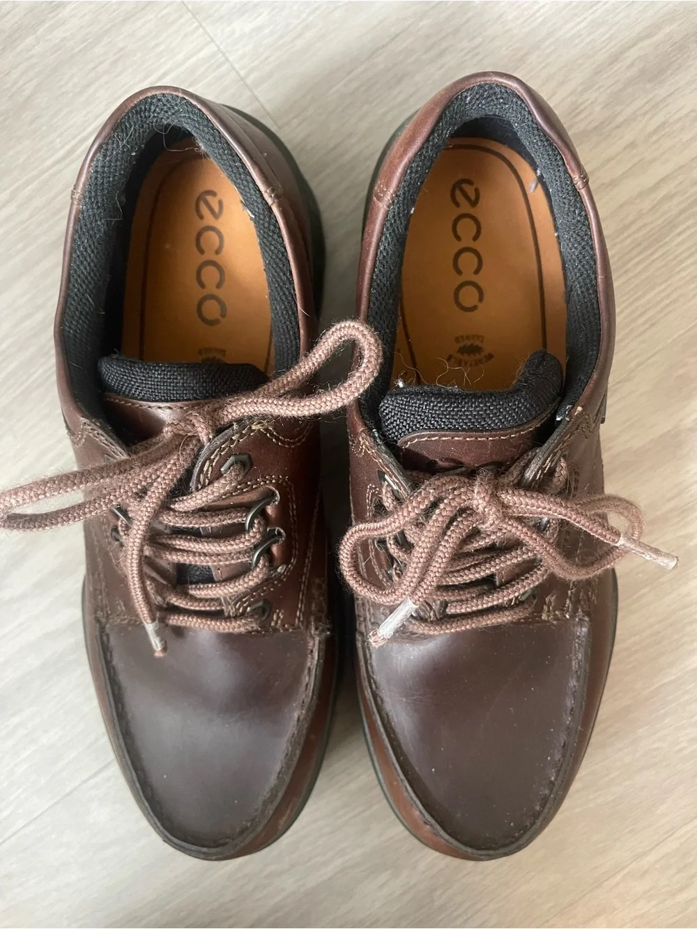 ECCO Track Brown Leather Gore-Tex Shoes